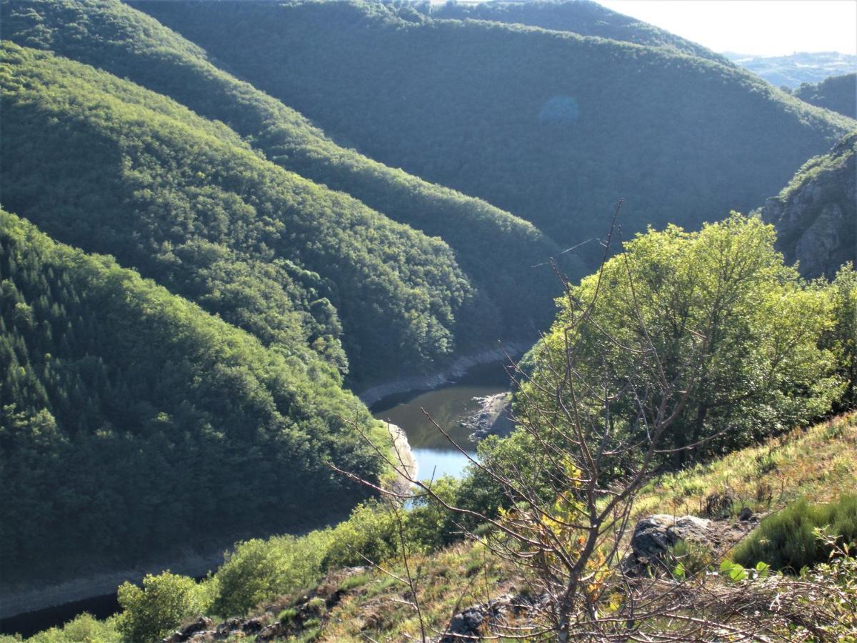 Neuvéglise Chalet Nature Sur La Vallee De La Truyere מראה חיצוני תמונה